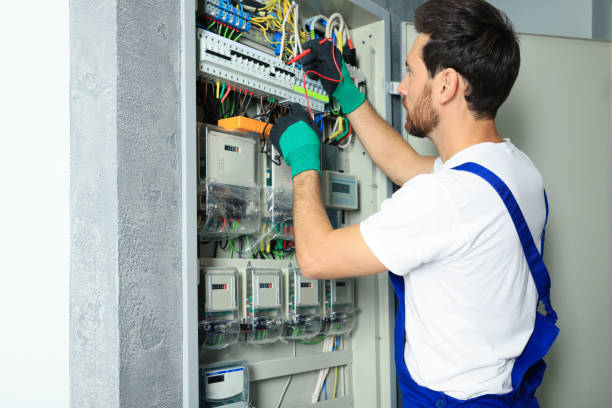 Best Electric Panel Repair  in Fort Meade, MD